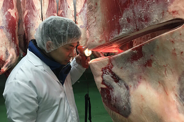 黒毛和牛一頭買いの仕入れ力