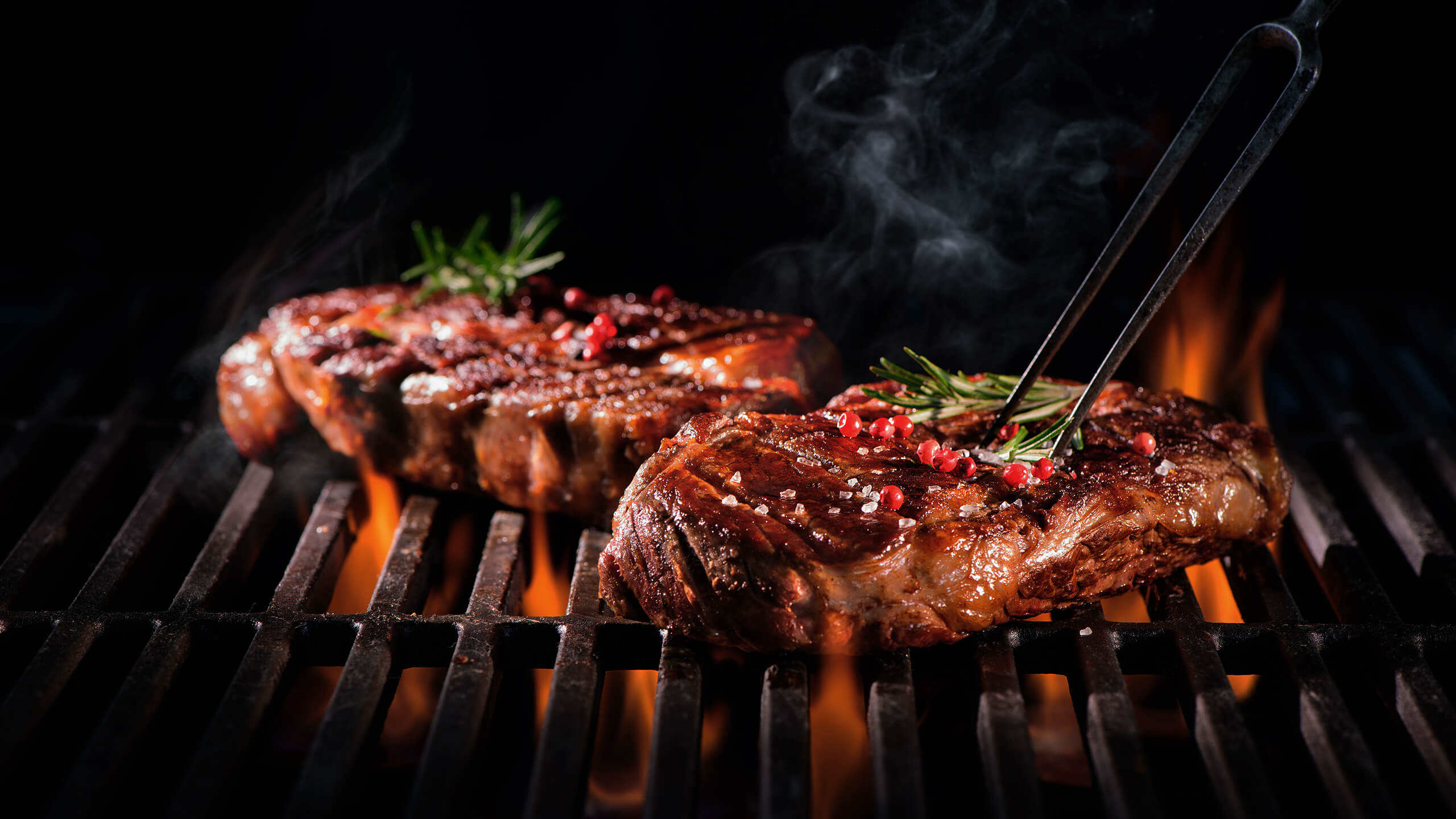 メディア掲載例