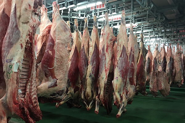 黒毛和牛一頭買いの仕入れ力